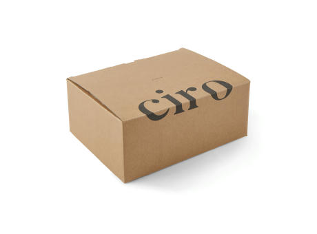 VINGA Ciro Lunchbox aus RCS recyceltem Stahl Werbeartikel