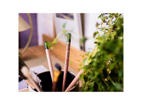 Sproutworld Unsharpened Pencil Bleisstift ungespitzt Werbeartikel