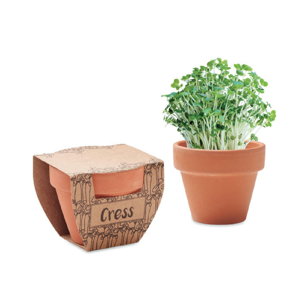 Product image Terrakotta-Topf Kresse Werbeartikel