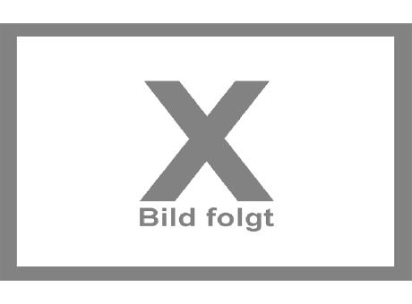USB-Stick C21 USB 2.0 Flash Disk   1 GB Schwarz bedrucken