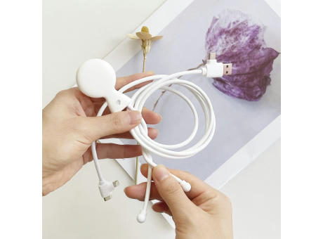 2089 | Xoopar Mr. Bio Long Power Delivery Cable with data transfer bedrucken