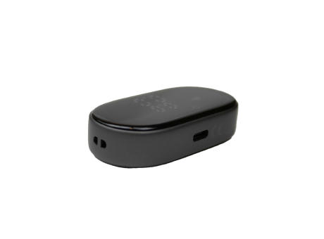 UF Elektronische Lineal Schwarz bedrucken