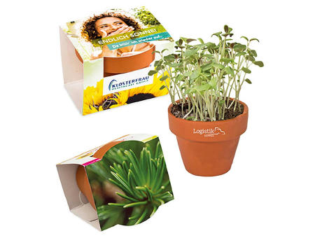 Product image Logo-Töpfchen Komplettbanderole mit Samen - Basilikum Werbeartikel