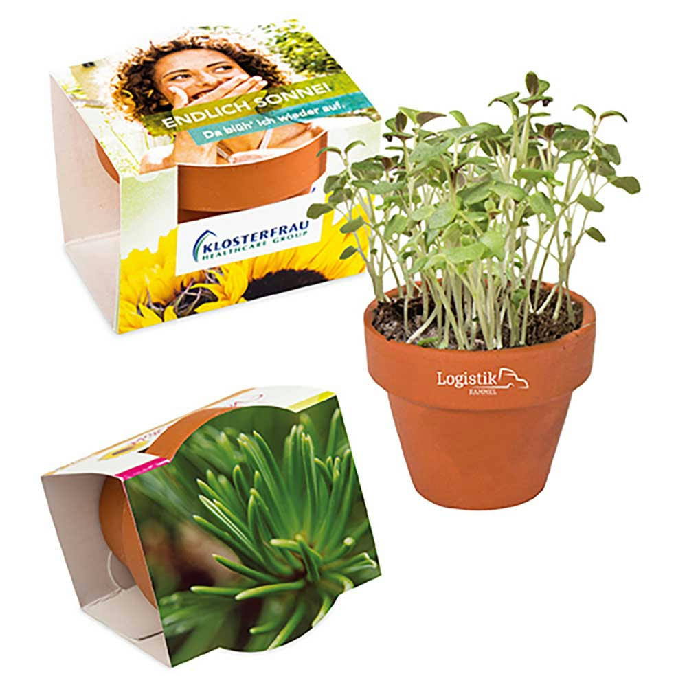Product image Logo-Töpfchen Komplettbanderole mit Samen - Basilikum Werbeartikel