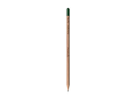 Sproutworld Sharpened Pencil Bleistifte angespitzt Werbeartikel