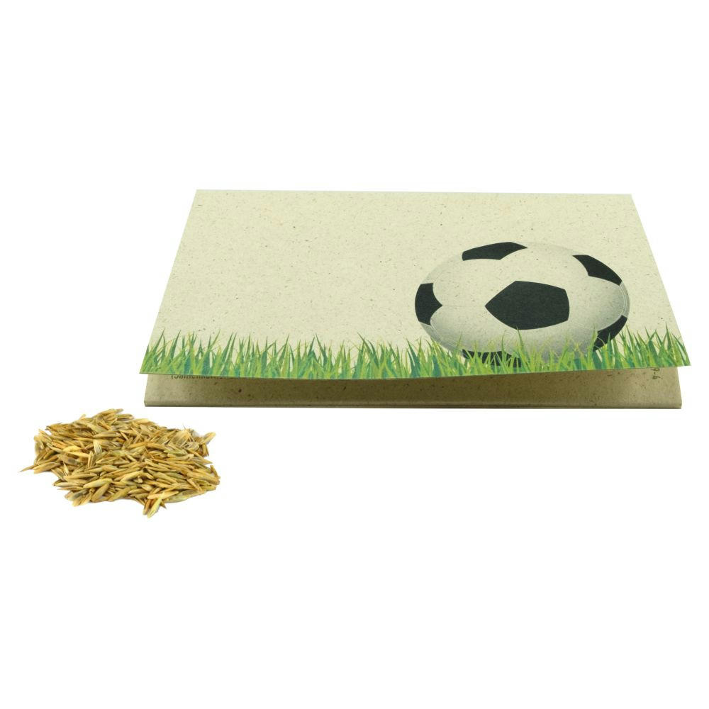 Product image Graspapier-Kärtchen Sportplatz Werbeartikel