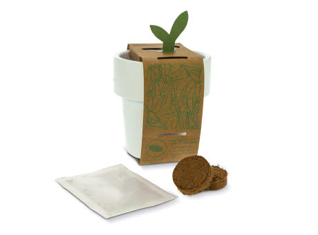 Hot-but-cool Tasse mit Erdbeersamen Werbeartikel