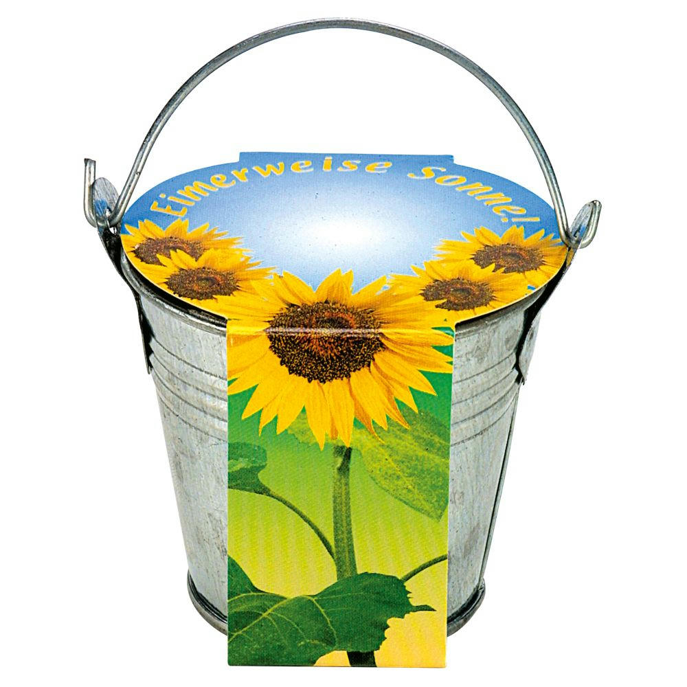 Zinkeimerchen Zwergsonnenblume Werbeartikel