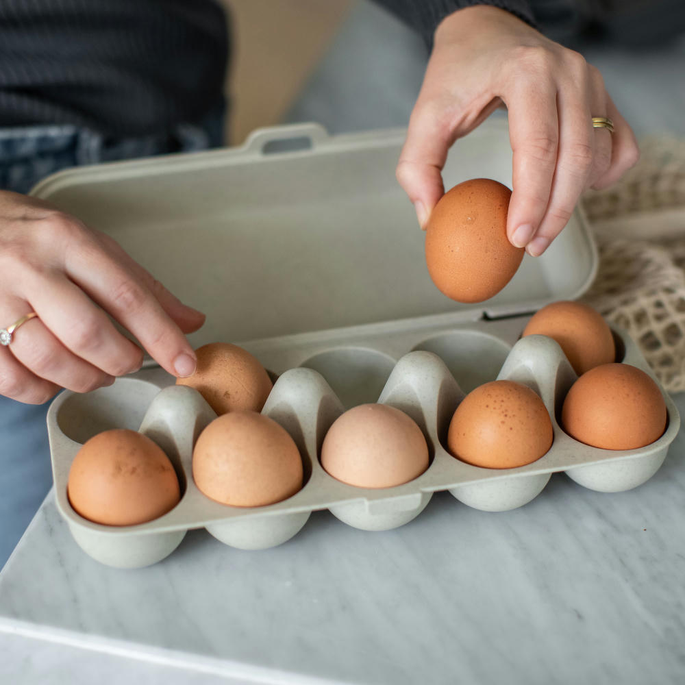 Koziol EGGS TO GO Eierbox Werbeartikel