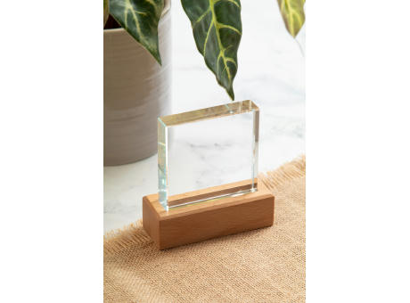 Trophäe Rectofi Werbeartikel