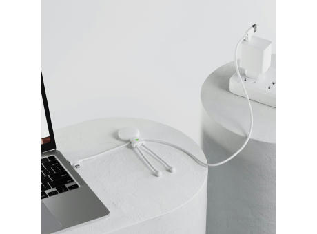 2089 | Xoopar Mr. Bio Long Power Delivery Cable with data transfer bedrucken
