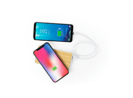Power Bank Dickens bedrucken