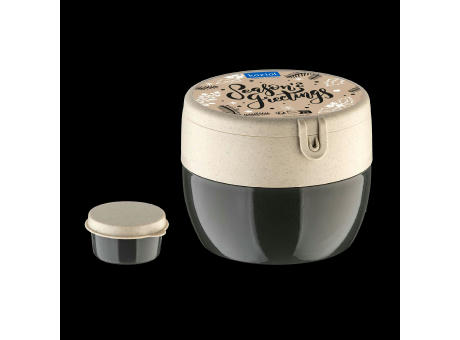 KOZIOL BENTOBOX M Bentobox + XMAS Sticker Werbeartikel