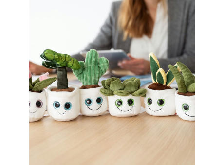 Schmoozies® Evergreenies® Sukkulente Werbeartikel