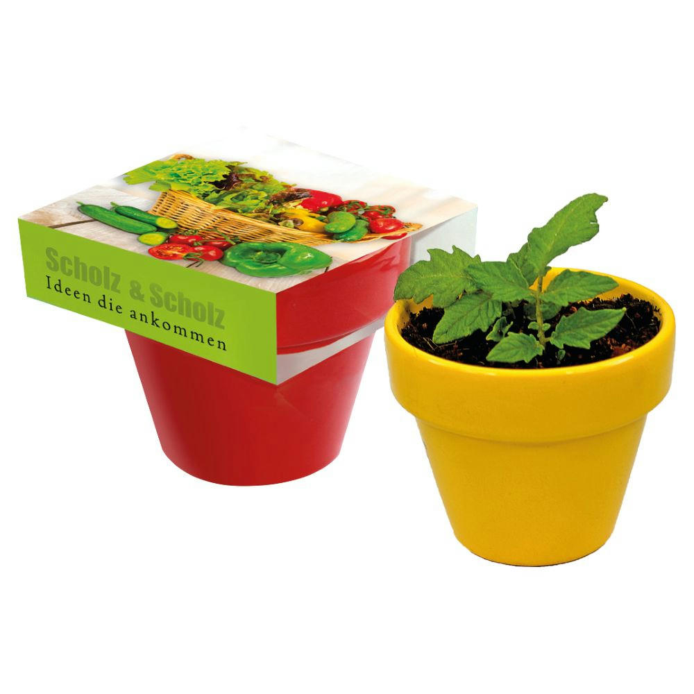 Product image Naschgemüse Colour Paprika Werbeartikel