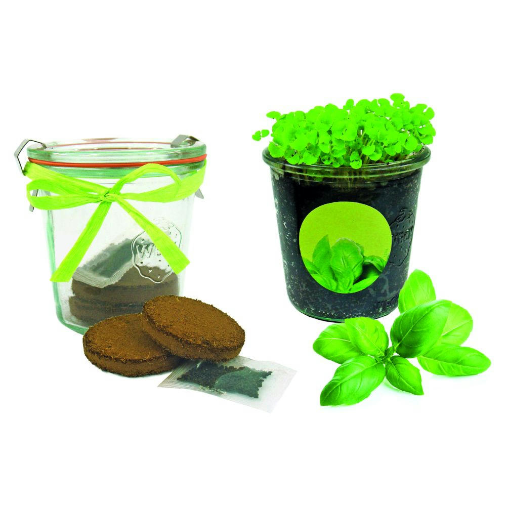 Product image Kräuter-Glas Werbeartikel