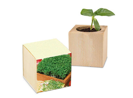 Product image Pflanz-Holz mit Samen (Graspapier-Banderole) - Basilikum Werbeartikel