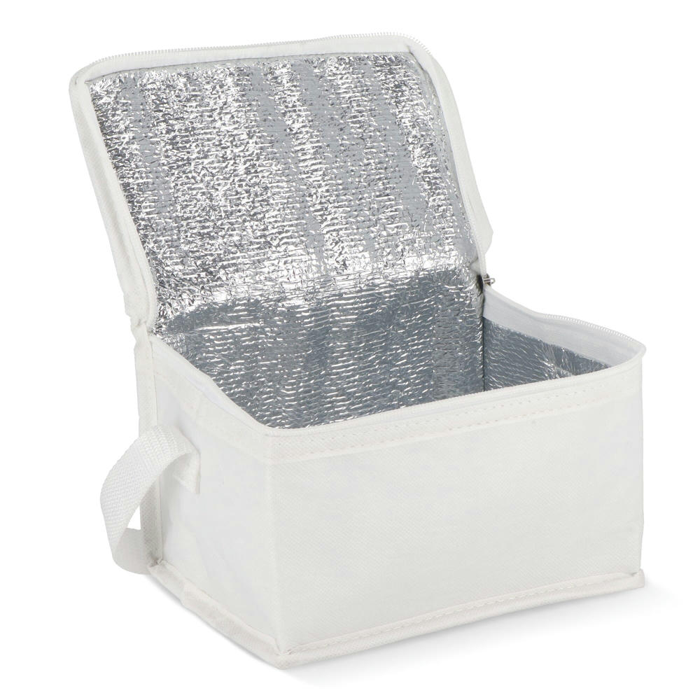 R-PET 6 Dosen-Kühltasche Non Woven 20x 13 x 12,5cm 75g/m² Werbeartikel