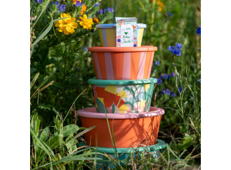 Koziol NORA BOX 700ml STRIPES Schale 700ml mit Deckel Werbeartikel