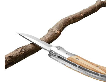 Product image RICHARTZ® LEO picknick olive bedrucken