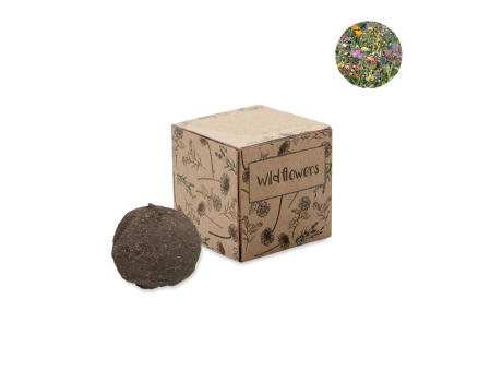 Product image Saat-Set Wildblumen Werbeartikel