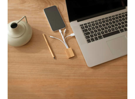 Bambus Ladekabel Brandan bedrucken