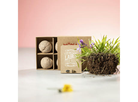 Samenkapsel Biyok Werbeartikel