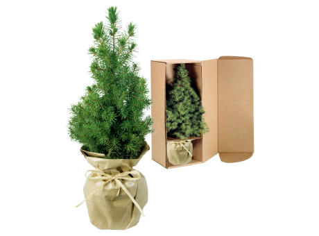 Product image Natur-Bäumchen 20-30 cm Werbeartikel