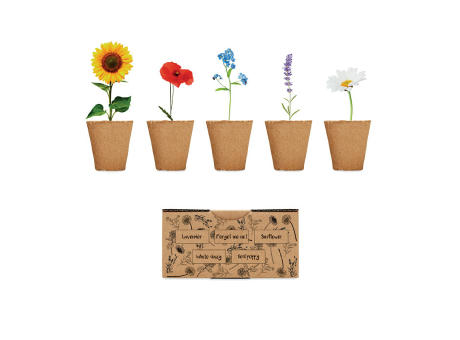 Product image Saat-Set Sommerblumen Werbeartikel