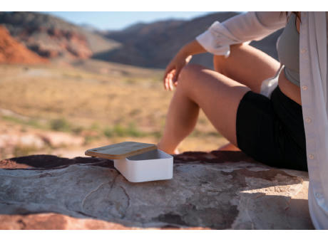 RCS RPP Lunchbox mit Bambusdeckel Werbeartikel