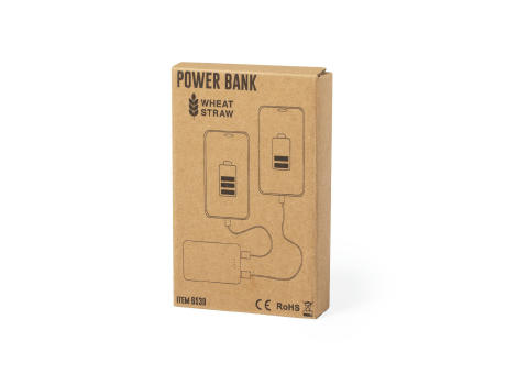 Power Bank Shiden bedrucken