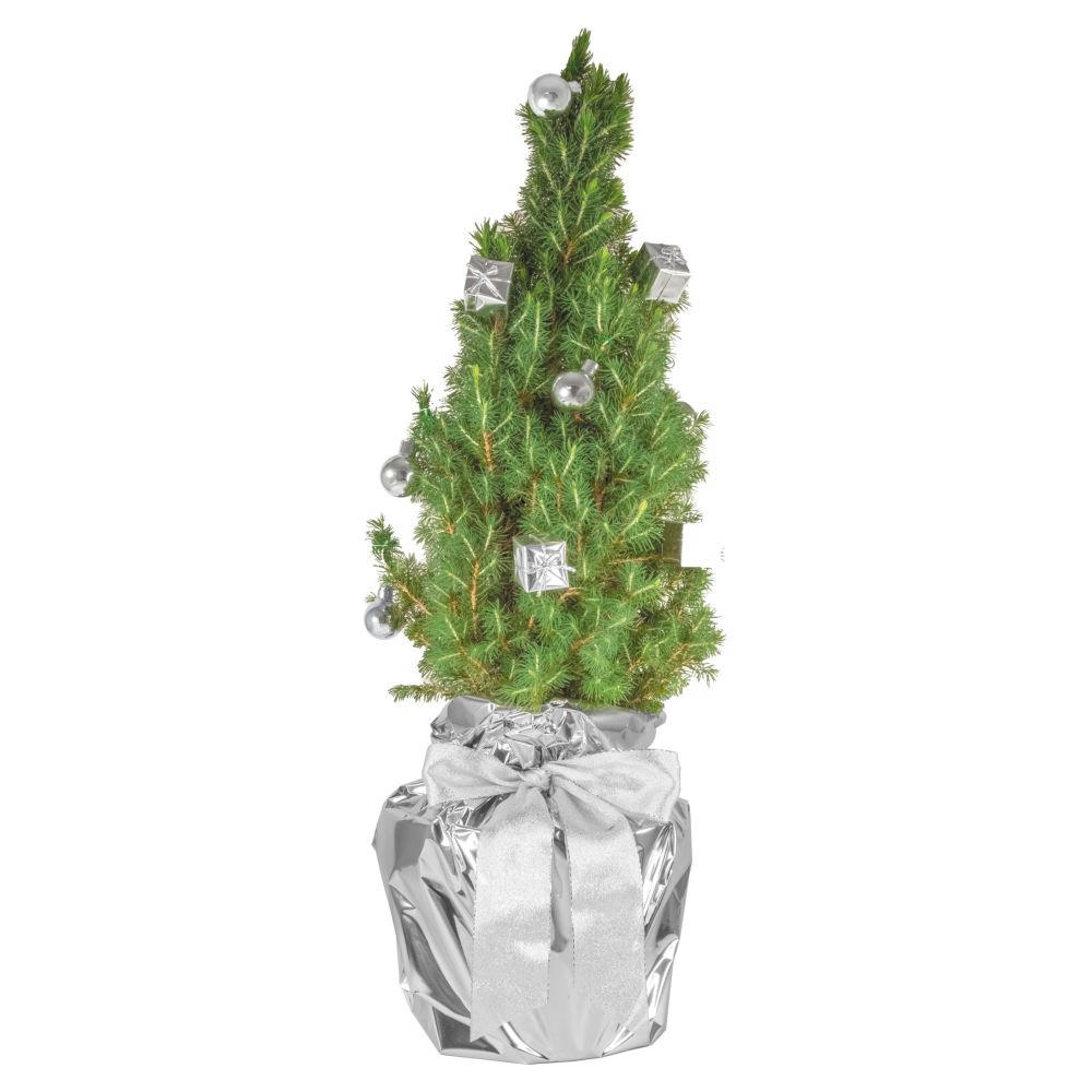 Product image Silberglanz-Bäumchen 35-45 cm Werbeartikel