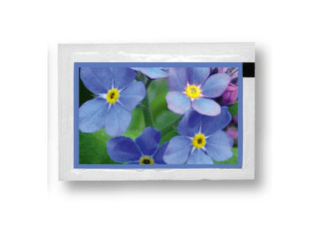 Product image Samentütchen Vergissmeinnicht 80 x 55 mm Werbeartikel