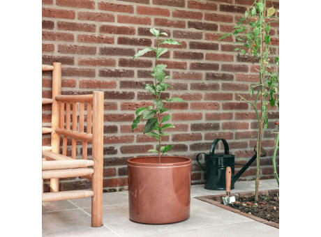 Treemore Briefkastenbäume Teepflanze Werbeartikel