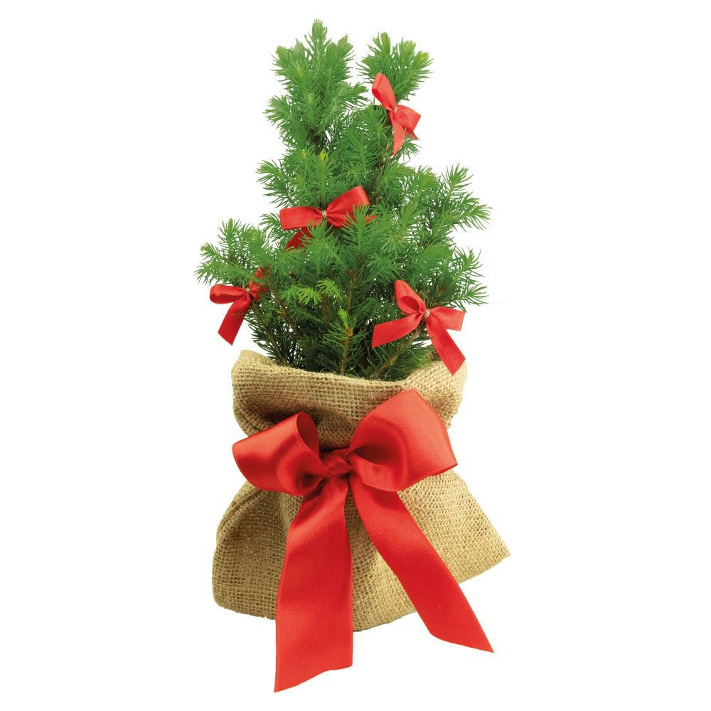 Product image Schleifen-Bäumchen 20-30 cm Werbeartikel