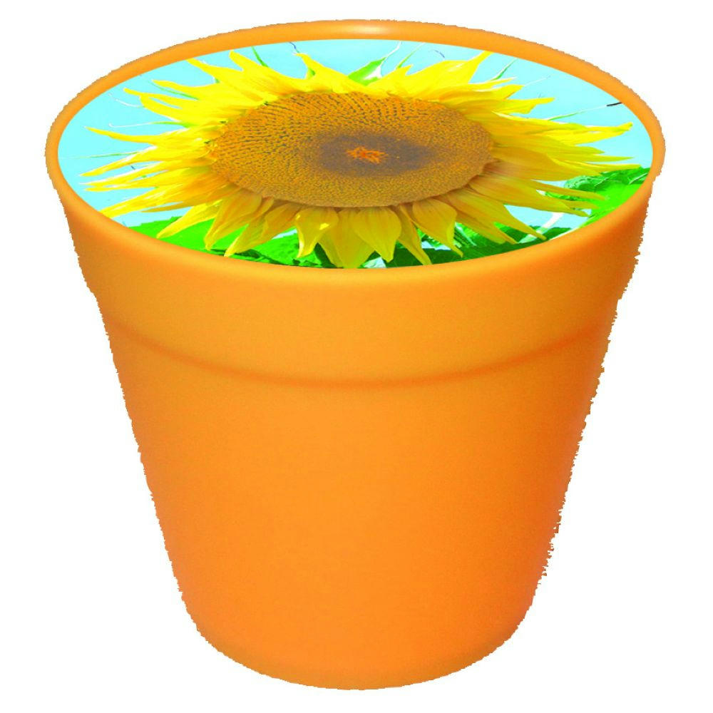Product image Business Töpfchen Sonne Werbeartikel