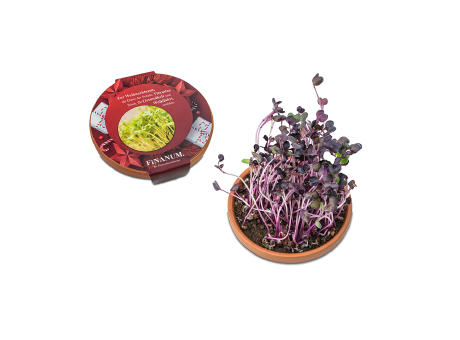 Vitamin-Schale - Kresse Werbeartikel