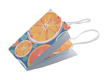 Gesichtsmasken-Etui MasCase bedrucken