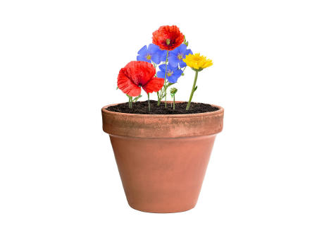 Bonbon-Samen Mussox Werbeartikel