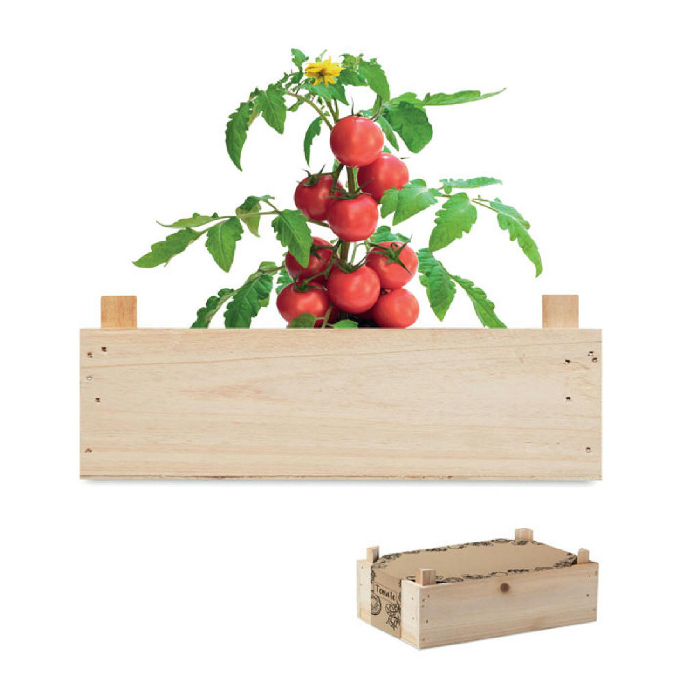 Product image Saat-Set Tomate Werbeartikel