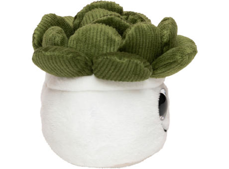 Schmoozies® Evergreenies® Sukkulente Werbeartikel