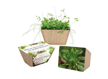 Product image Mini-Beet mit Samen - Basilikum Werbeartikel