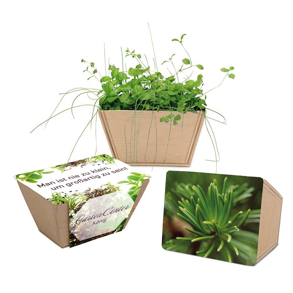 Product image Mini-Beet mit Samen - Basilikum Werbeartikel