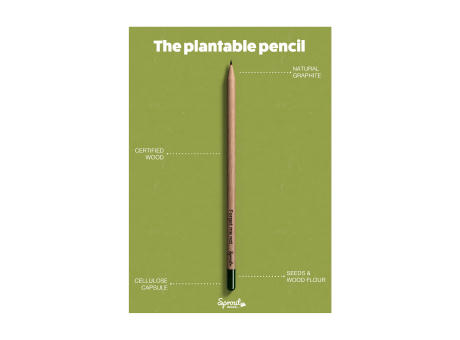 Sproutworld Sharpened Pencil Bleistifte angespitzt Werbeartikel