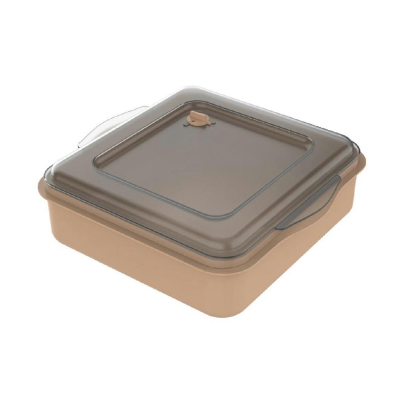 beständiges braun/ transparent