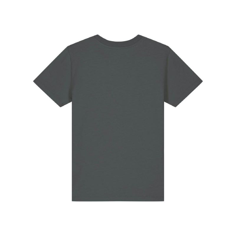 Anthracite/Mushroom