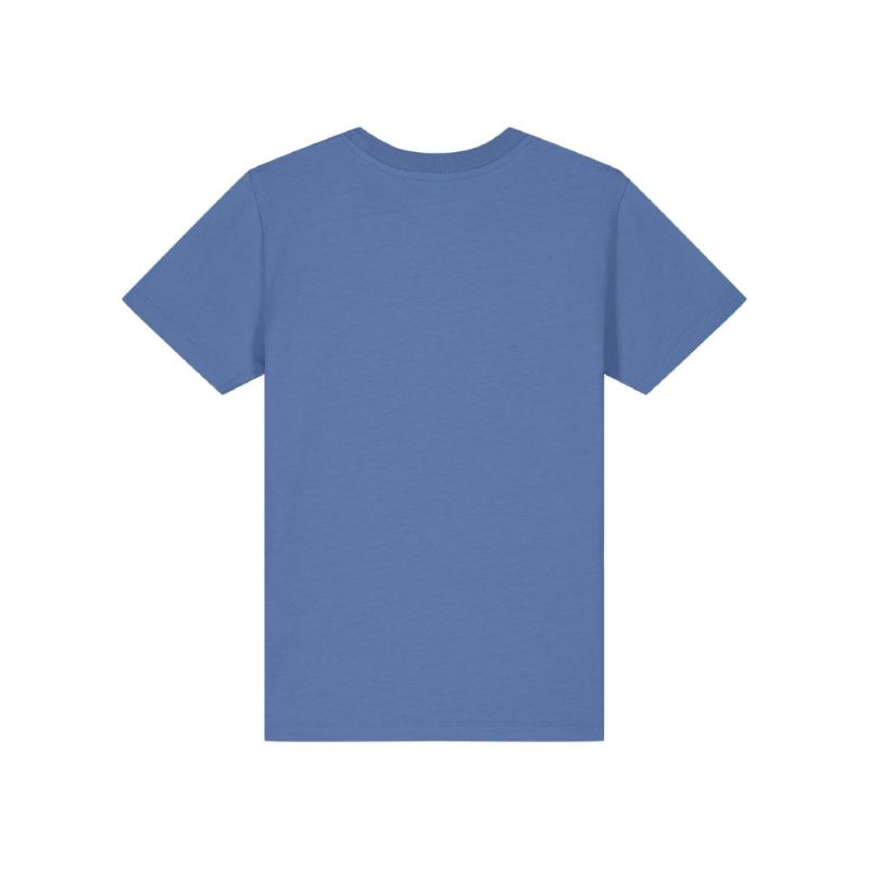 Bright Blue/Rose Clay
