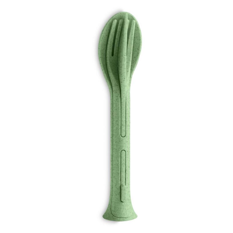 nature leaf green