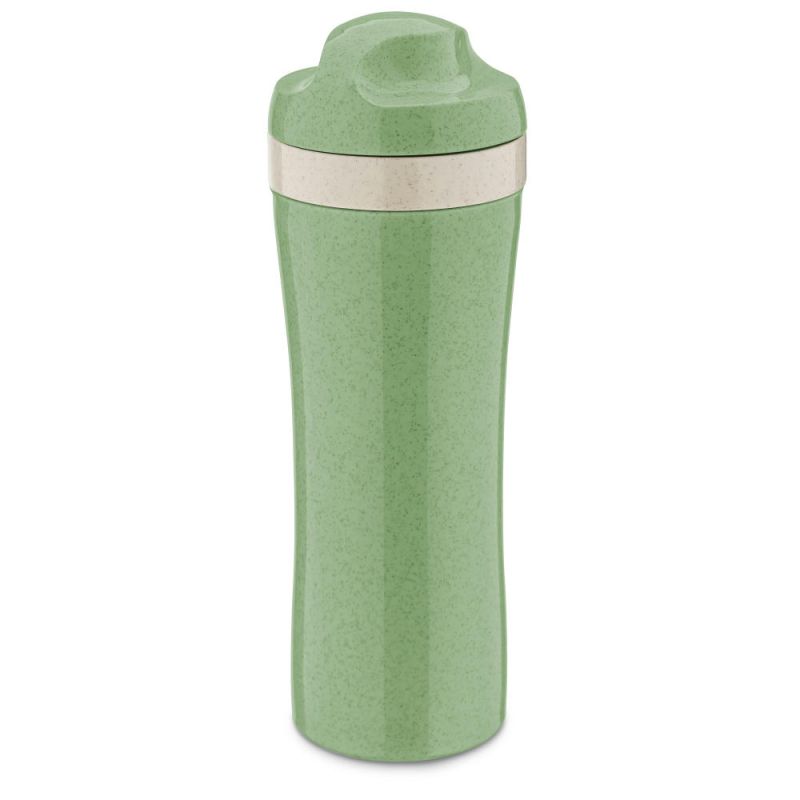 nature leaf green